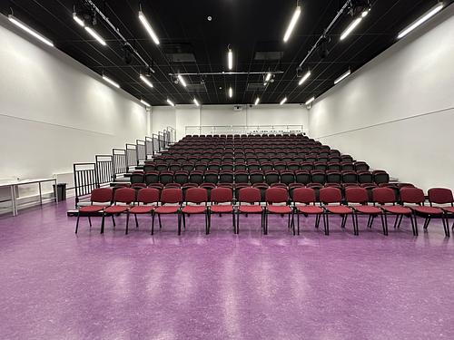 Royal Greenwich Trust  Lecture Theatre