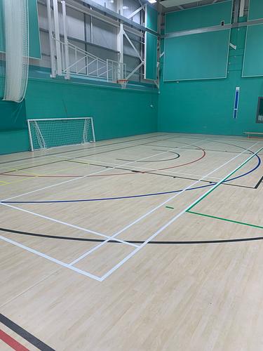 Houstone School Badminton Court 4