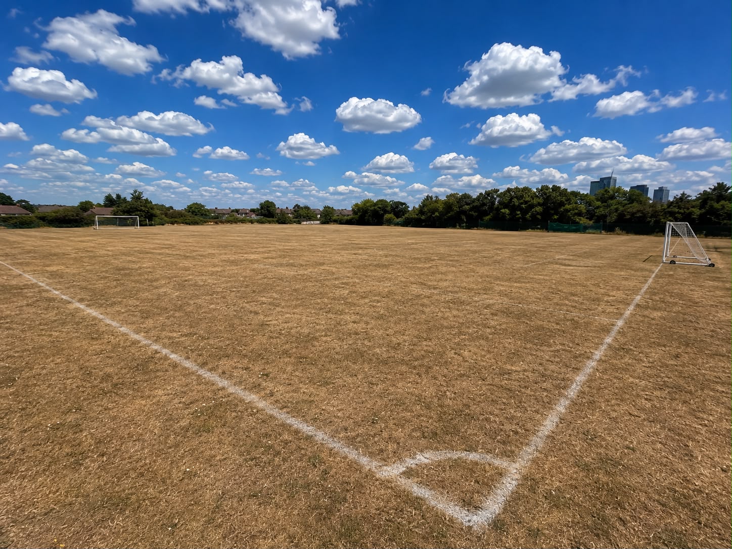 Chadwell Heath Academy Grass 9 a side Pitch - photo 1