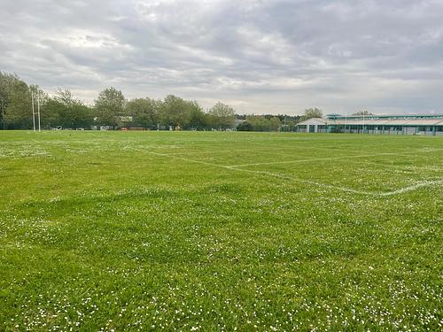 St James Catholic High School  Grass Field