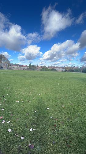 Hendon School Grassed Area