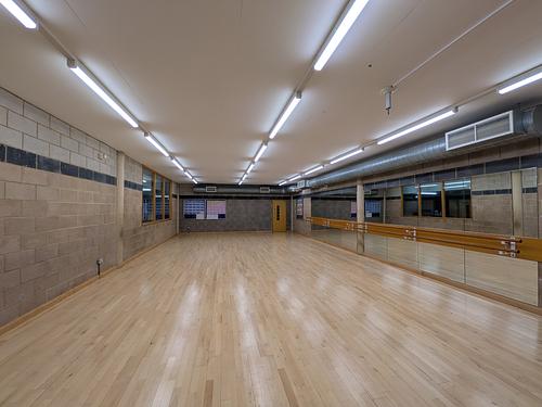 Debden Park High School Dance Studio