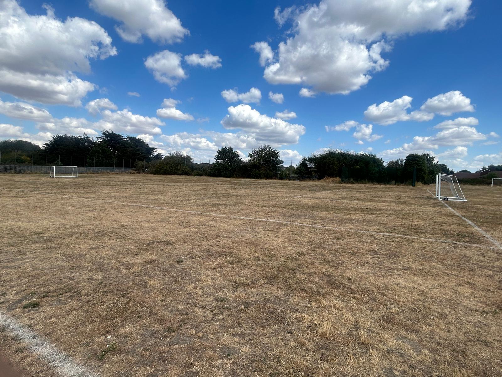 Chadwell Heath Academy Grass 7 a side Pitch - photo 1