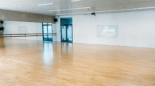 Ark Evelyn Grace Dance Studio 