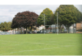 Aylward Academy