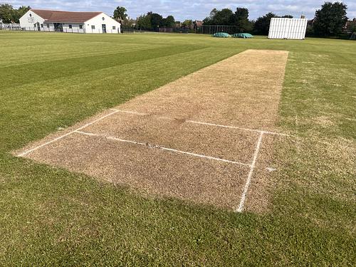 Thomas Deacon Academy Outdoor Cricket Wicket Only available to current customer.
