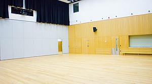 Marlborough Primary School Grand Hall Half (Partition2 - Multi Use Hall) 
