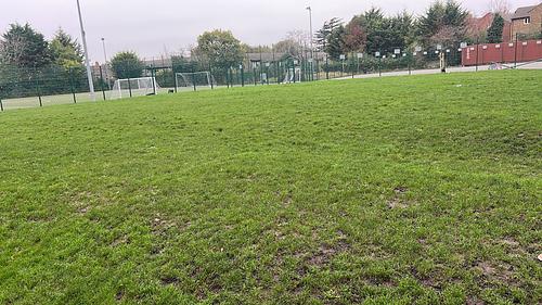 Archer Stanley Grass Area