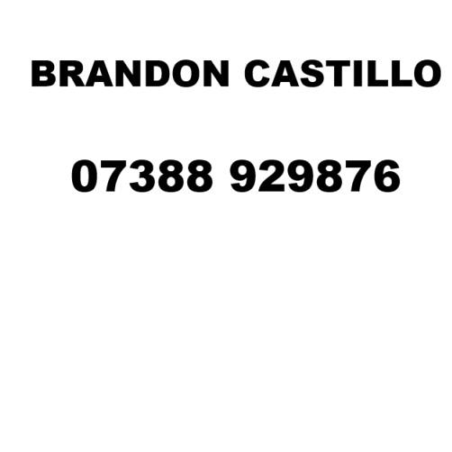 Ark Burlington Danes Academy 0 Staff Planner (BDA) - photo 6
