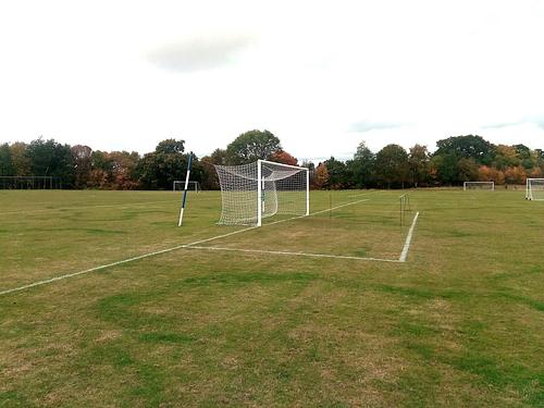 Hazelwick School Grass Pitch 6 (54x36)