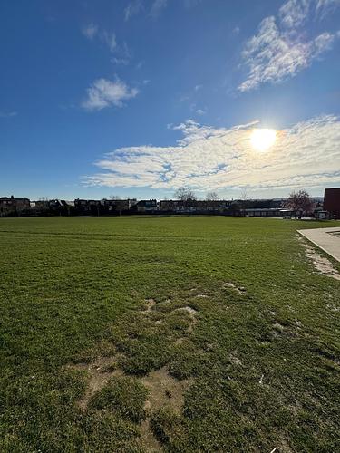 Hendon School Grassed Area