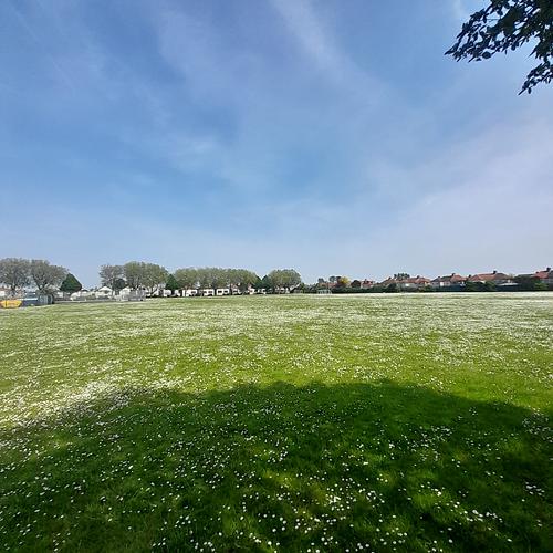 Welling School Football Pitch (no lines or posts)