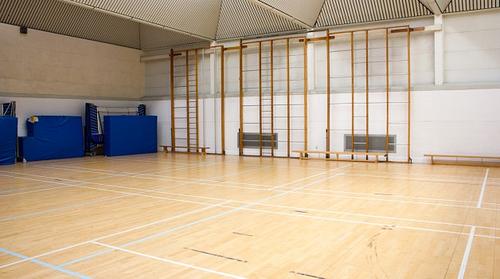 Acland Burghley School Gymnasium